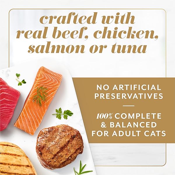 FANCY FEAST GEMS PATE CAT FOOD MOUSSE AND A HALO OF SAVORY GRAVY WET CAT FOOD VARIETY PACK – (PACK OF 12) 4 OZ. BOXES