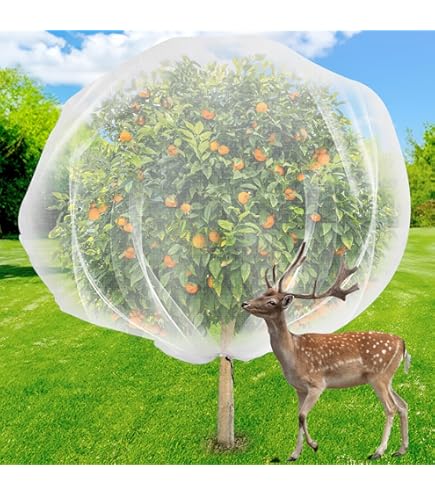 Filet Pour Arbres Uitiers 1,2 X 1,8 M, Filet Anti-insectes Pour Plantes, Filet Anti-insectes à