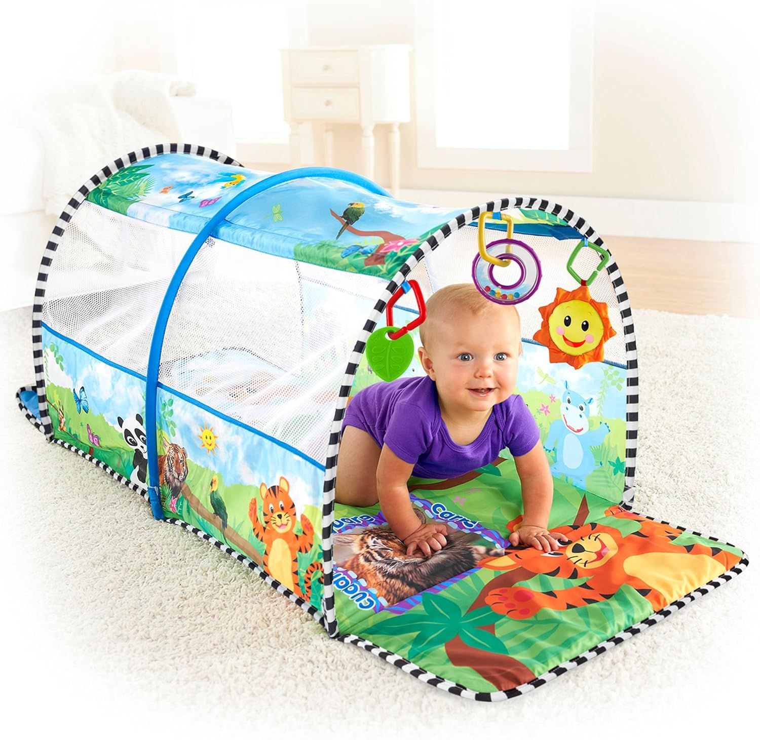 baby einstein tunnel