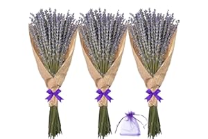 KOCEKO Dried Lavender Flowers Bundles, Natural Dry Lavender Flowers 220-240 Stems 16'' for Vase Home Wedding Party Decoration Arrangements Fragrance 3 Bundles