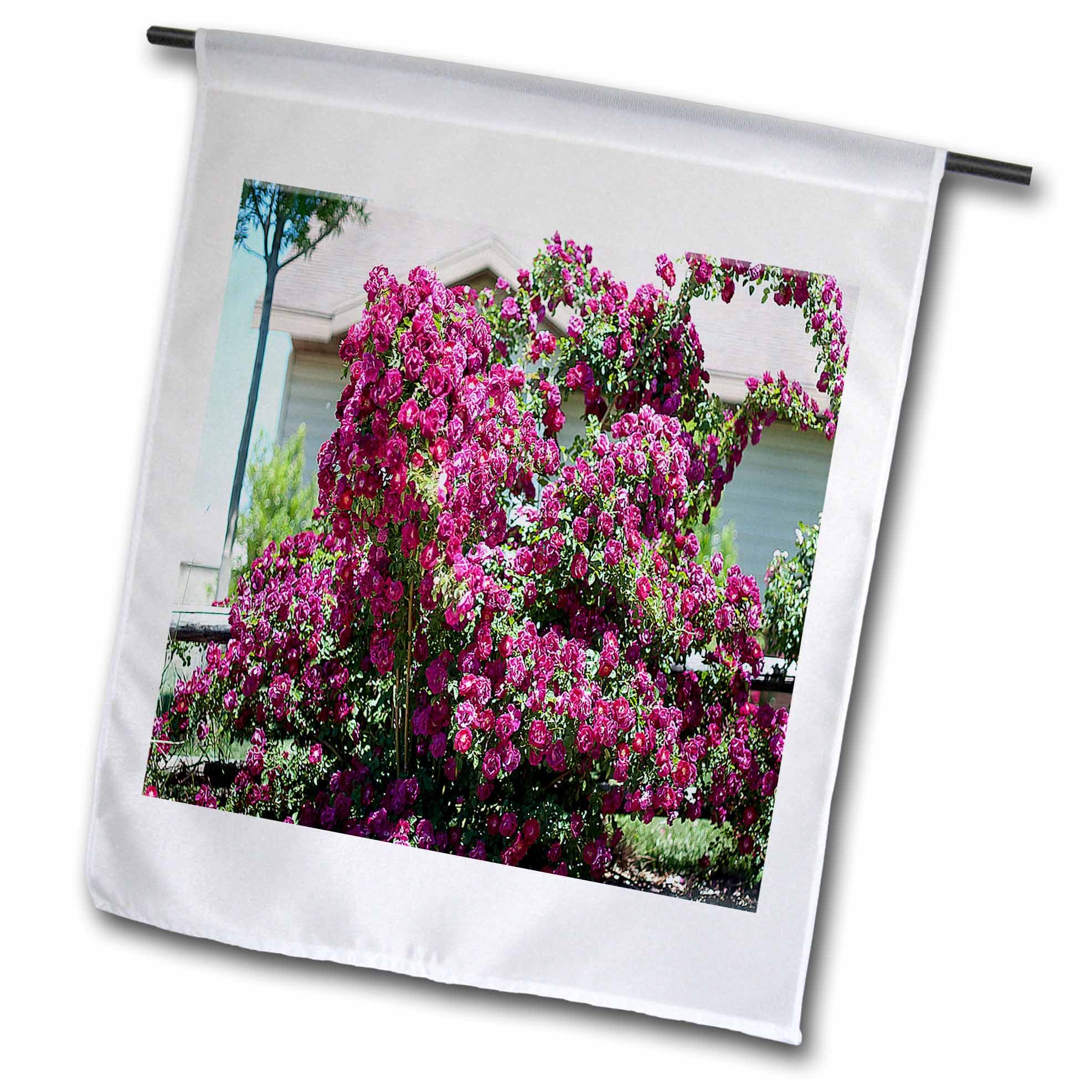3dRose fl_52113_1 A Beautiful Pink Climbing Rose Bush in Someone's Front Yard with Tons of Lovely Flowers Garden Flag, 12 by 18-Inch