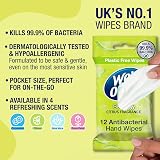 Wet Ones Be Zingy Plastic Free Antibacterial Wipes 144 Wipes 12x12 view 2