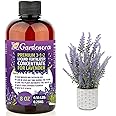 Premium Liquid Lavender Plant Fertilizer - 3-1-2 Concentrate for Indoor Plants and Flowers by Gardenera | Organic Plant Food for Lavenders - 8oz