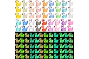 252Pcs Luminous Mini Resin Ducks, 18 Colors Tiny Duck Bulk Glow in The Dark Cute Tiny Ducks Resin Miniatures Fairy Garden Aqu