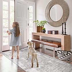 Area Rug 2x6 Runner Rug: Washable Vintage Hallway