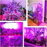 Wolezek Grow Lights 80 LED 4 Head Full Spectrum Plant Light with Clip view 7