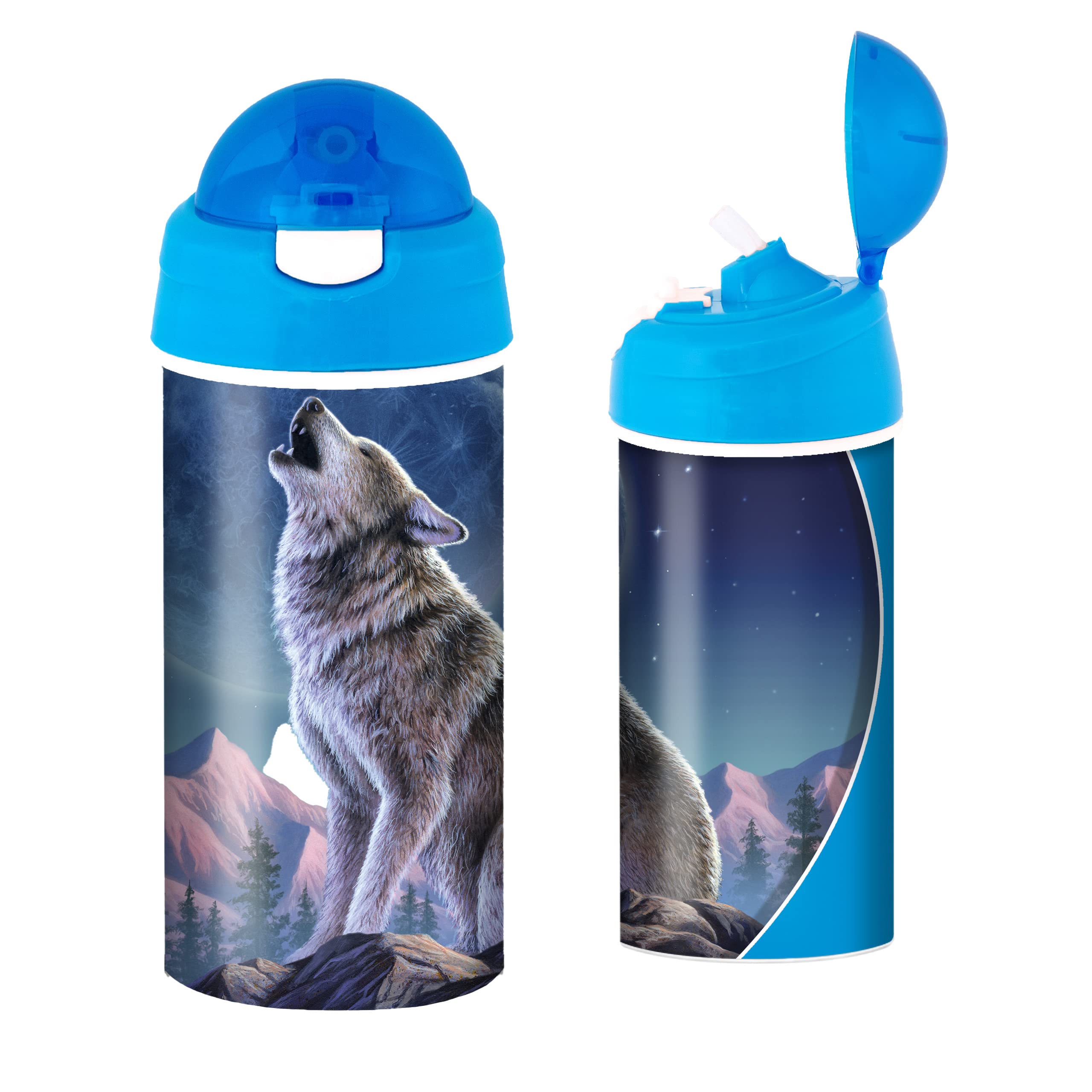 3D LiveLife Drinking Bottle - Moonlight Sonata from Deluxebase. 3D Lenticular 600ml BPA Free Reusable Blue Water Bottle with Straw and Flip Top Lid. Leak Proof Animal Drinks Bottles with Wolf Design. — image 1
