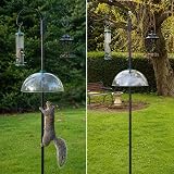 DIVCHI Squirrel Baffle Dome for Bird Feeders Universal Pole Hanging view 3