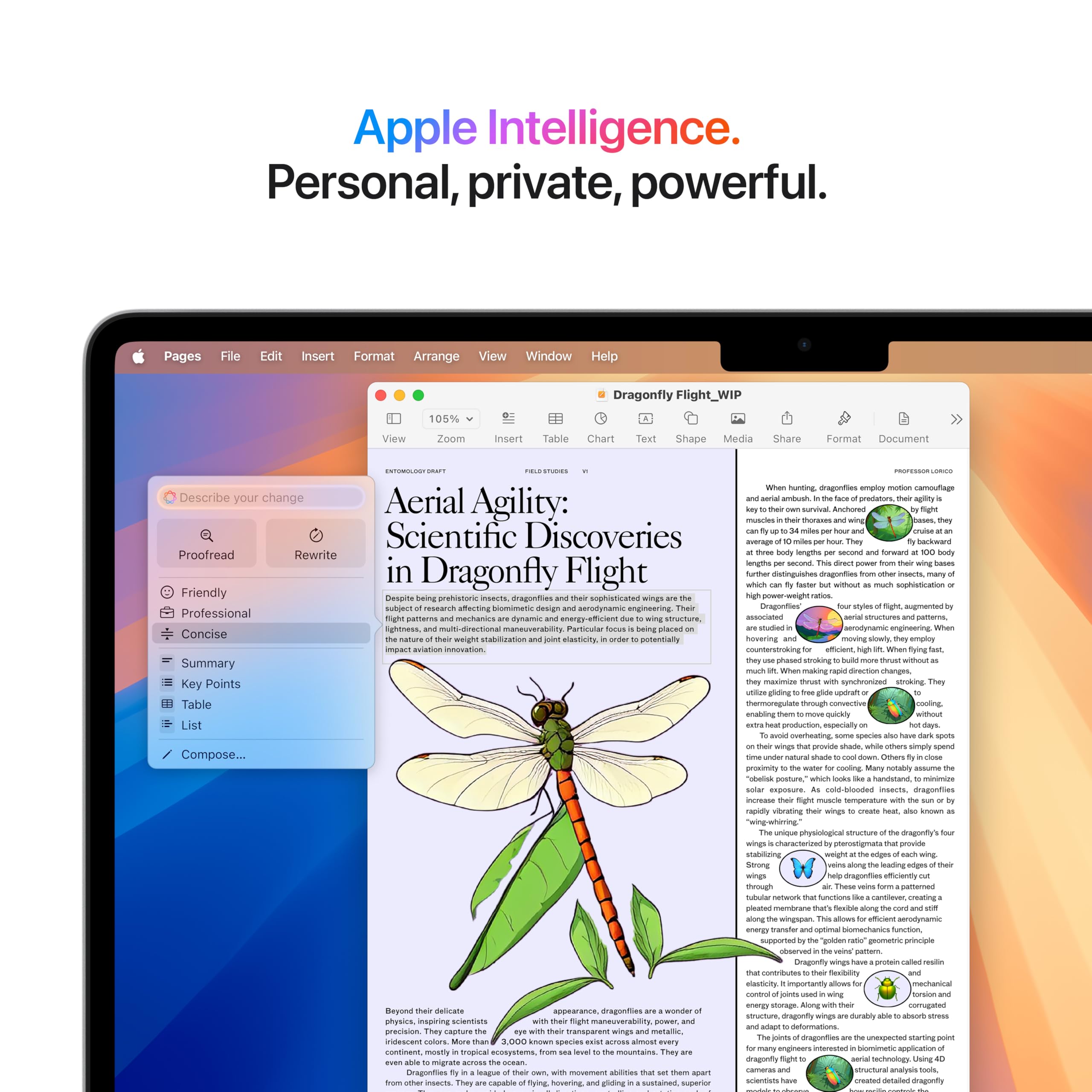 Apple 2025 MacBook Air 13-inch Laptop with M4 chip: Built for Apple Intelligence, 13.6-inch Liquid Retina Display, 16GB Unified Memory, 256GB SSD Storage, 12MP Center Stage Camera, Touch ID; Silver