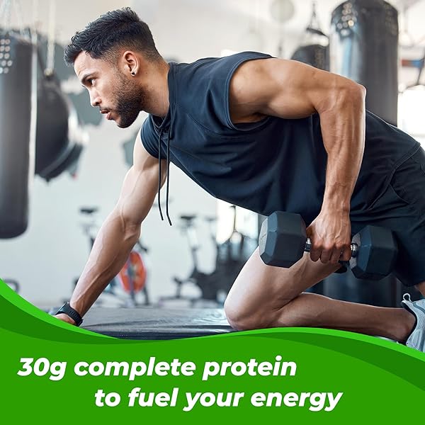 ORGAIN 30G HIGH PROTEIN SHAKE, DAIRY ISOLATE MILK PROTEIN, CHOCOLATE FUDGE, 5G BCAAS, 1G SUGAR PER SERVING, MEAL REPLACEMENT, READY TO DRINK, KETO FRIENDLY, GLUTEN-FREE 11 FL OZ (PACK OF 12)