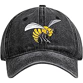 R and R Imports Alabama State University Officially Licensed Dad Hat - Unisex Baseball Cap Colorful Logo
