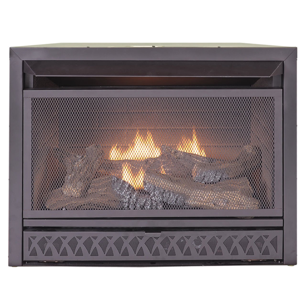 Propane Fireplace Insert: Amazon.com