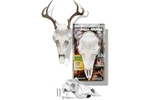 MOUNTAIN MIKE'S REPRODUCTIONS Mountain Mike’s White Skull Master Antler Mounting Kit | Compatible with Harvested and Shed Antlers | for Antlers Under 3" Antler Base (Small)