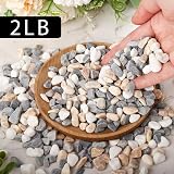VGOODALL 900g Gravel Pebbles Mixed Colour for Plants Vases Aquariums view 2