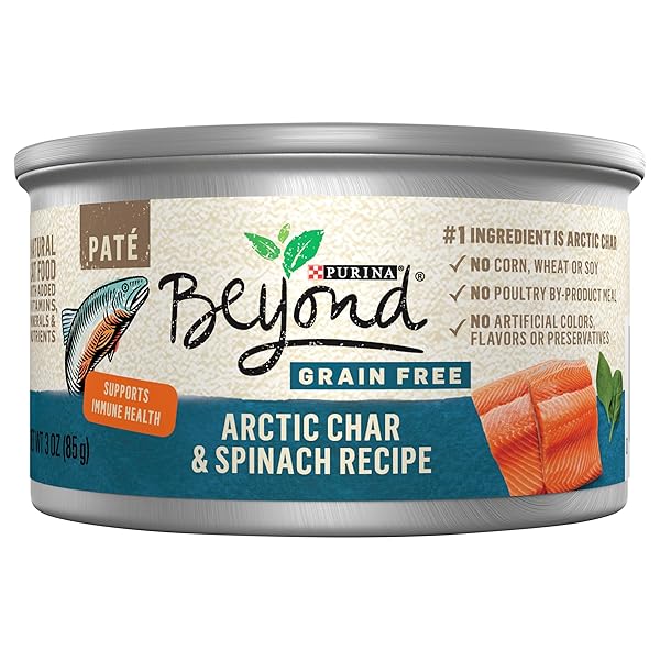 PURINA, GLUTEN FREE ARCTIC CHAR & SPINACH CAT FOOD, 3 OUNCE