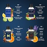 Ted Baker Mini Cologne Gift Set For Him 4 x 15ml Travel Size view 4