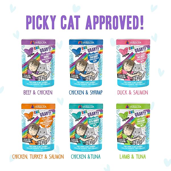 WERUVA B.F.F. OMG – BEST FELINE FRIEND OH MY GRAVY!, VARIETY PACK, POTLUCK O’ POUCHES, WET CAT FOOD, 2.8OZ POUCHES (PACK OF 12)