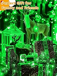 BrightChristmas 500 LED 164 FT Christmas