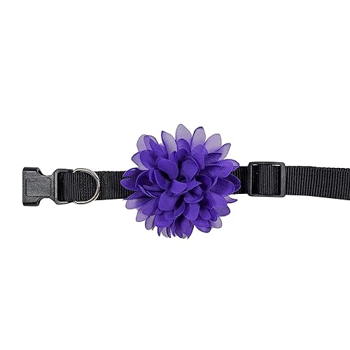 toilet cat litter tray