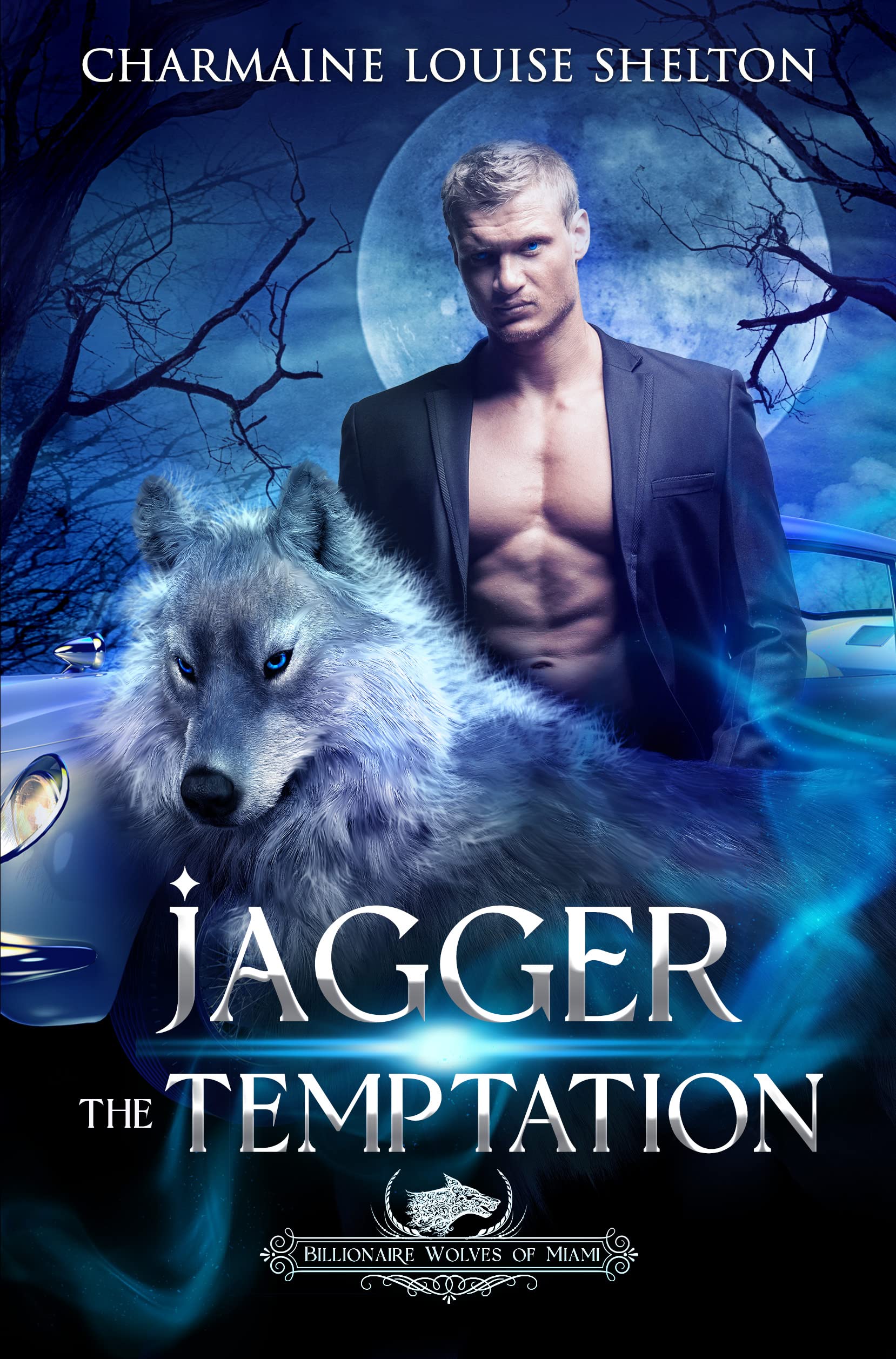 Jagger The Temptation: A Wolf Shifter Fated Mates