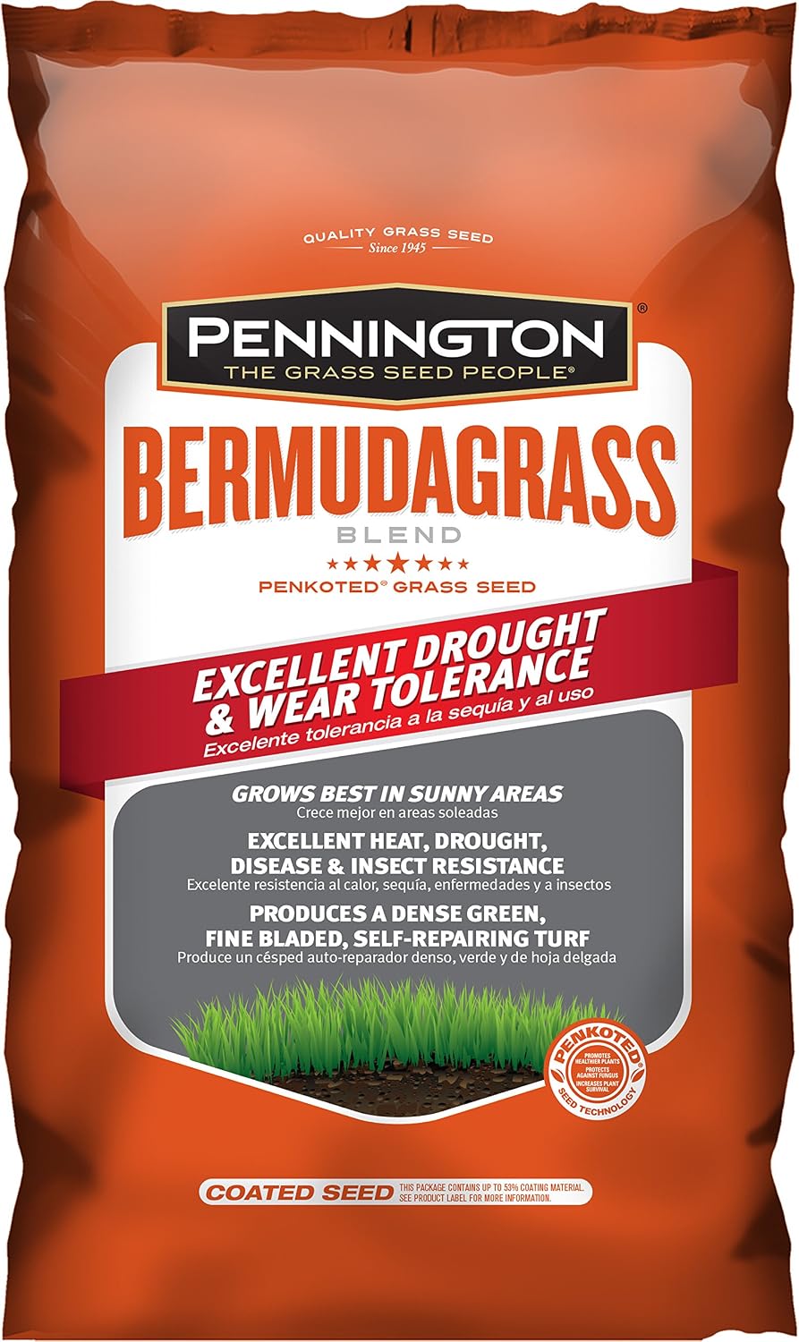 thumbnail image 2 of 300,000 Bermuda Grass Seeds – Premium Unhulled With Moisture Coating, Full Sun 2 of 4