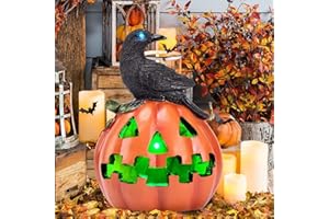 HUYIENO Solar Halloween Pumpkin Decoration with Crow Solar Powered Garden Lights Color Changing LED Halloween Yard Lawn Party Outdoor Decorations