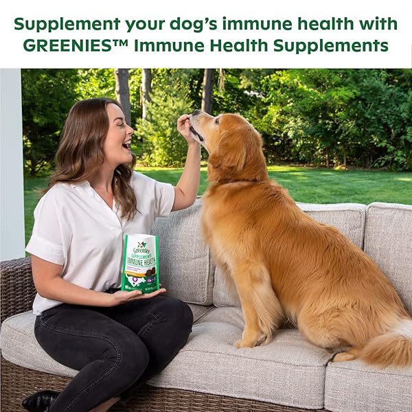GREENIES IMMUNE HEALTH DOG SUPPLEMENTS WITH AN ANTIOXIDANT BLEND OF VITAMIN C AND E, CHICKEN-FLAVOR SOFT CHEWS FOR ADULT DOGS, 40-COUNT