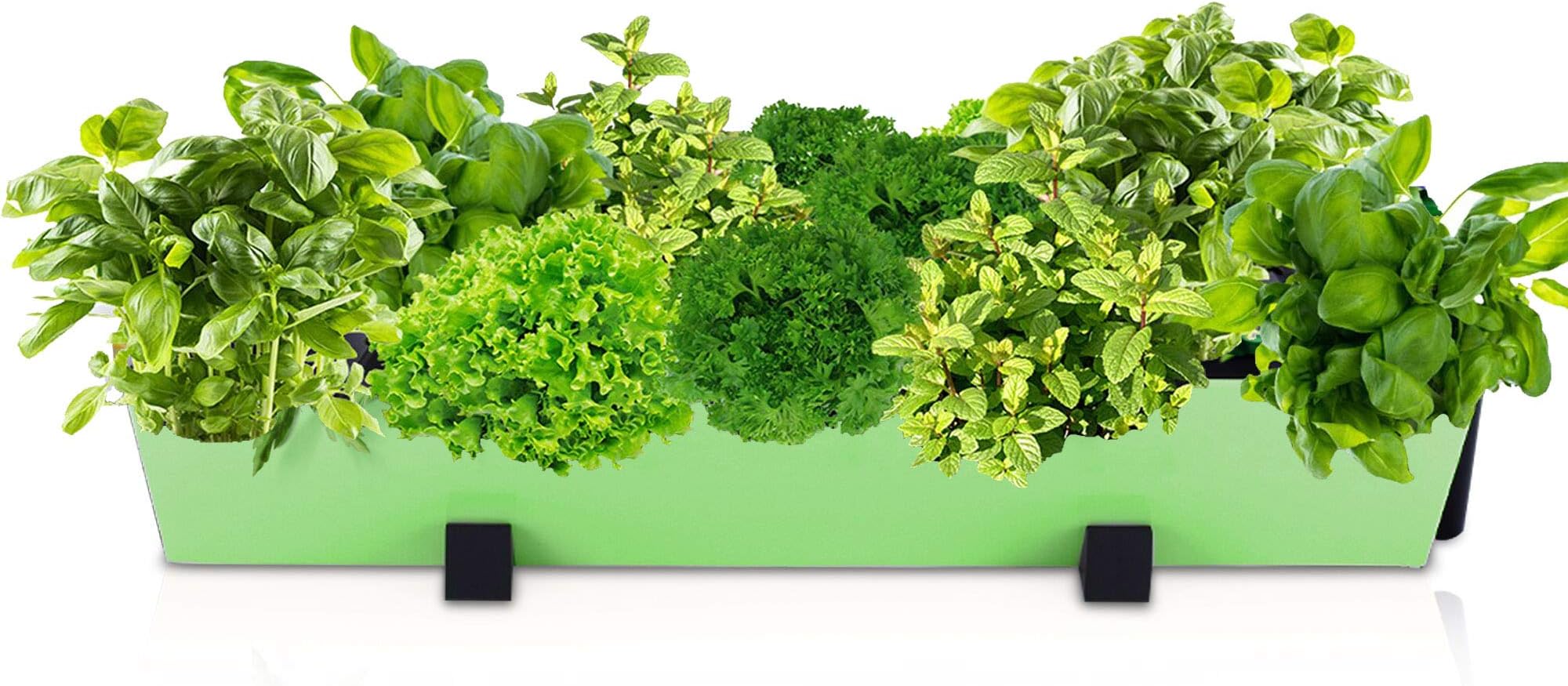 Indoor Herb Garden Planter Pot – Flower Plant Pots Wall Decor & Kit with Hanging Bracket - Plants Thrive with No Effort, Ideal for Busy Lifestyles - Modern Succulent