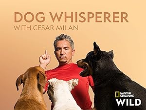 caesar millan dog barking