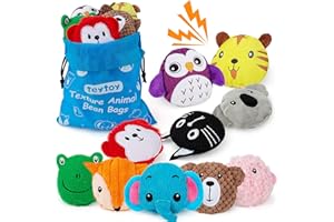 teytoy Sensory Bean Bag for Kids 10 Pack,Texture Sensory Beanbags,Sensory Toys for Autism,Animal Sensory Fine Motor Toys with Storage Bag for Boys and Girls