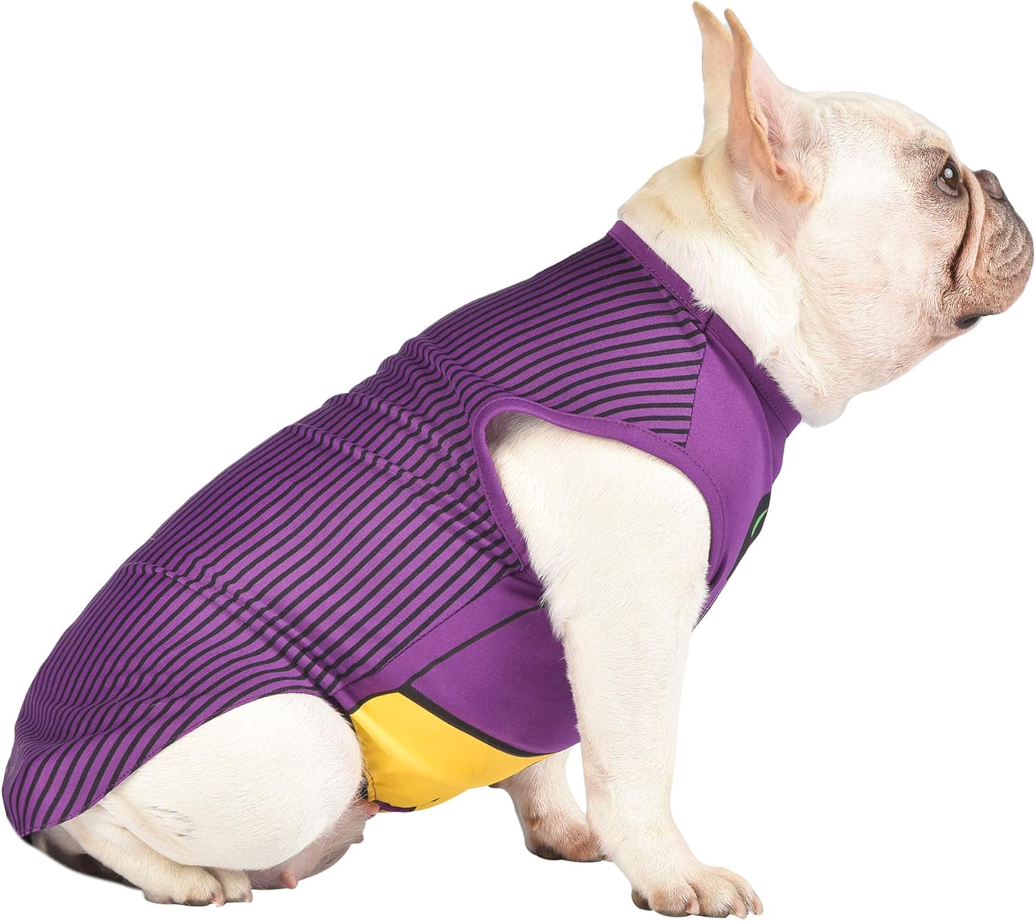 DC Comics Joker Dog Costume