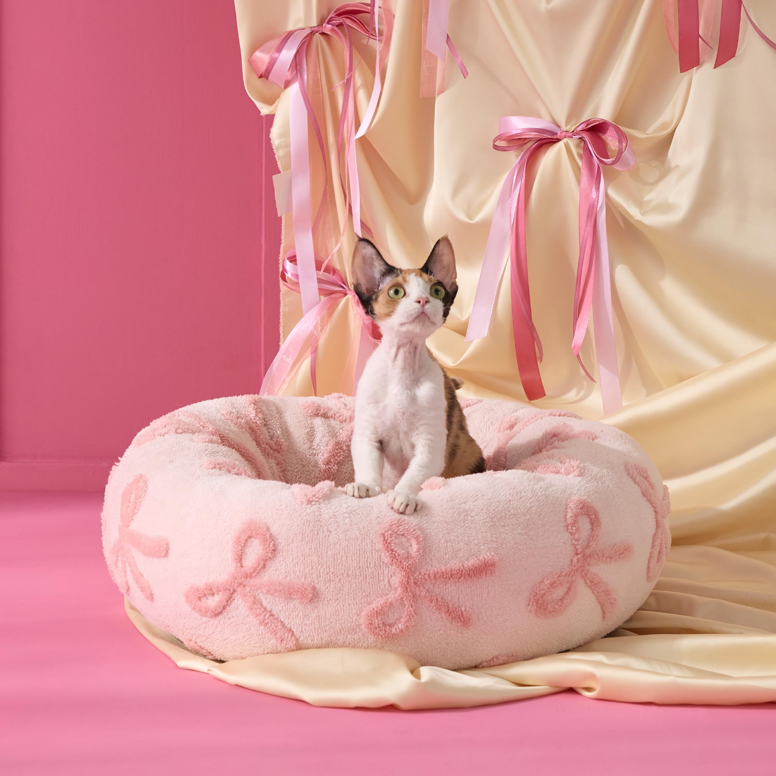 Photo 1 of LE SURE Donut Cat Beds for Indoor Cats - Round Small Dog Bed Calming Pet Beds, Cute Modern Beds with Jacquard Shaggy Plush & Anti Slip Bottom, 20 Inch, Pink Taffy