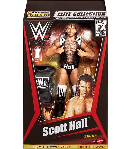 Amazon.com: WWE Package Deal (Set of 2) NWO Kevin Nash & Scott