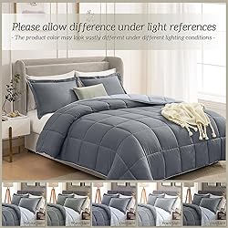 Homelike Moment Queen Comforter Set