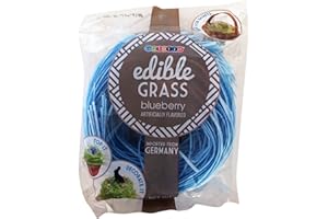 Edible Grass! Blueberry Or Strawberry! Sugar Free! Perfect For Easter! Use On Baked Treats Or In Easter Baskets! Delicious! (