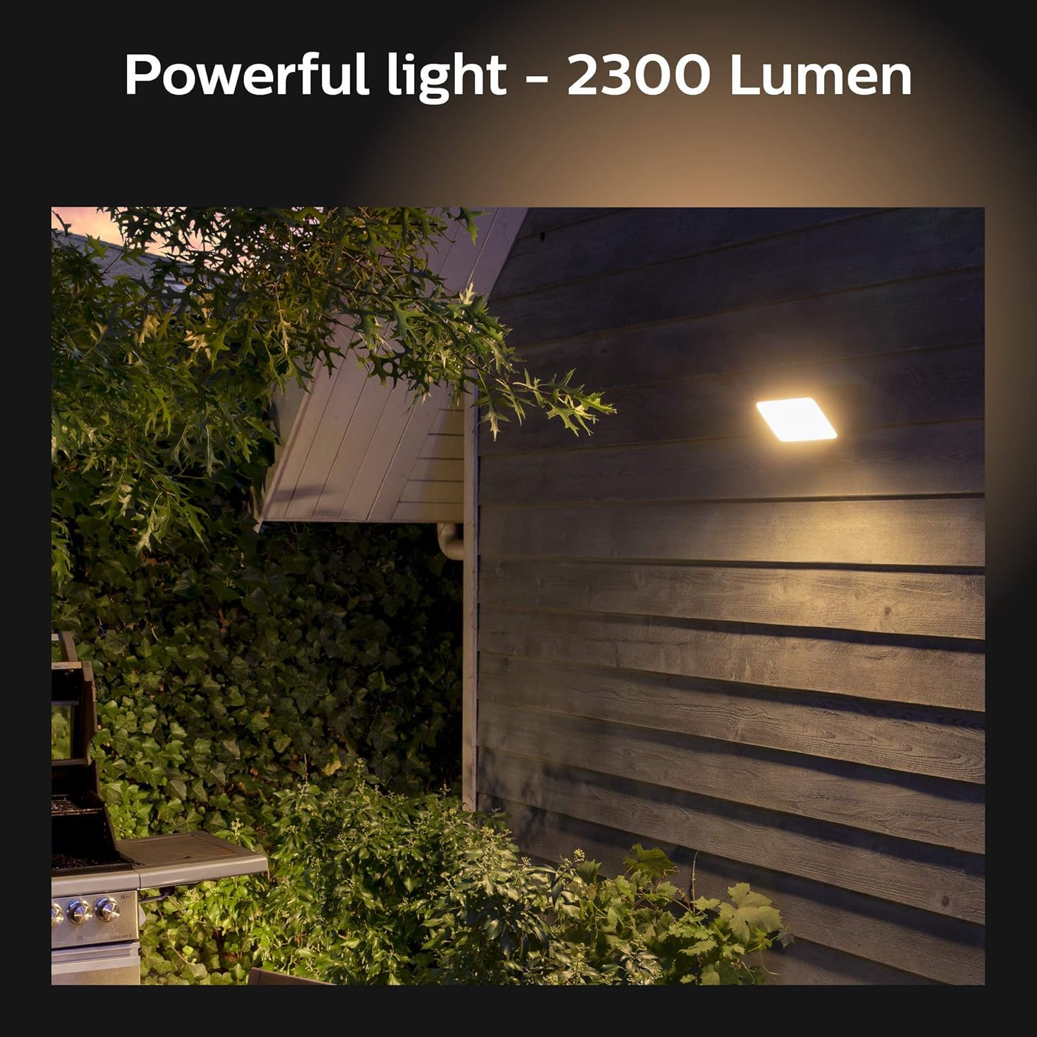 Philips Hue Discover Outdoor White & Color Ambiance Smart Floodlight (Hue Hub Required, Smart Light Works with Alexa, Apple Homekit and Google Assistant): Home Improvement