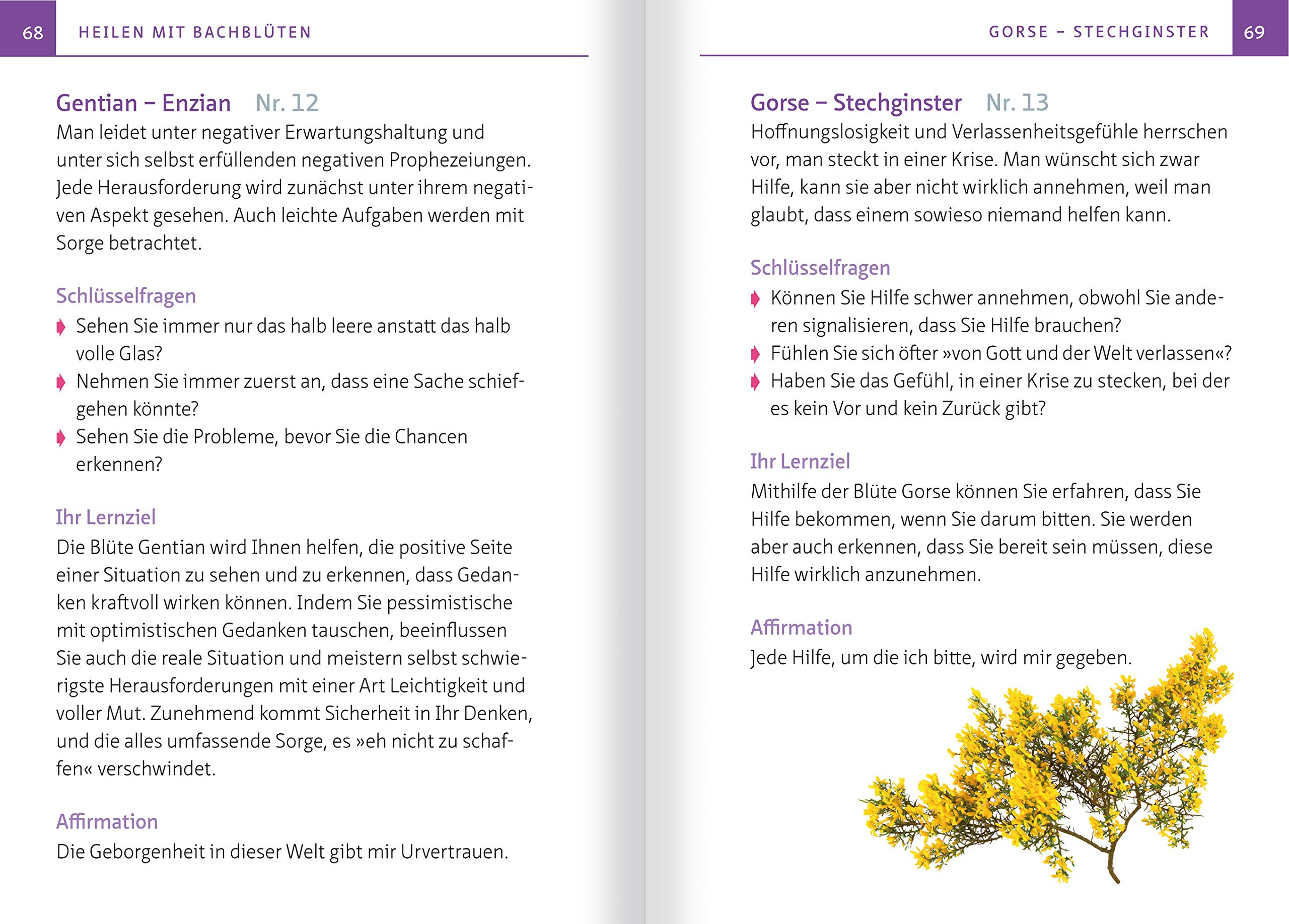 Amazon Fr Heilen Mit Bachbluten Kompakt Ratgeber Alle Bachbluten Von A Bis Z Auswahl Dosierung Und Wirkung Blutengruppen Und Krankheitsbilder Anna Elisabeth Rocker Livres