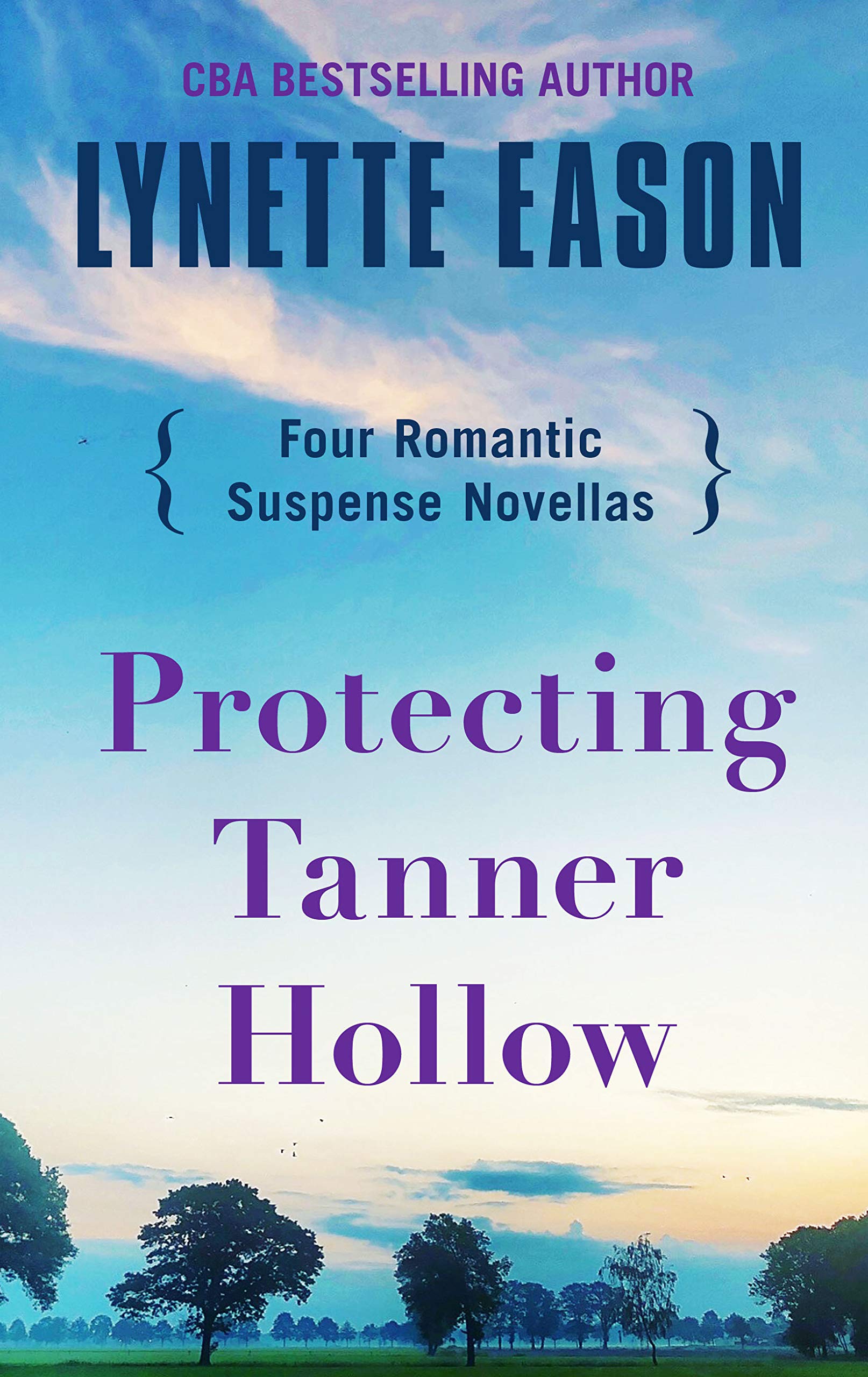 Protecting Tanner Hollow Four Romantic Suspense Novellas Thorndike Press Large Print Christian Fiction Eason Lynette 9781432871512 Amazon Com Books