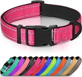 Joytale Reflective Dog Collar Medium Pink Nylon Neoprene Padding