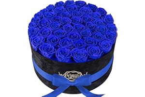 PRIFROTI Forever Real Roses in Suede Box - 47-Piece Roses in a Box - Luxury Preserved Roses That Last Over a Year - Valentines Day Flowers for Delivery Prime - Mothers Day, Birthday, Christmas (Royal Blue)