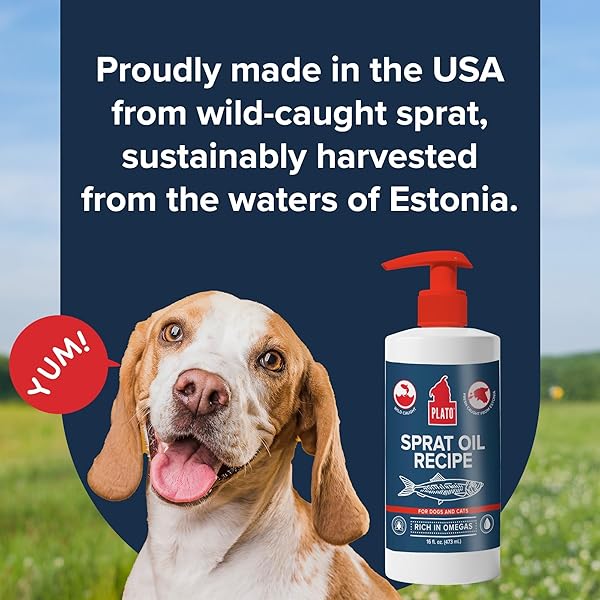 PLATO PET TREATS FISH OIL FOR DOGS – OMEGA 3 OIL FOR DOGS – SUPPORTS HEALTHY SKIN AND COAT – BALTIC SPRAT OIL RECIPE 8 OUNCES