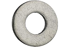Hayward D.E.CX1641125 No. 10 Flat, Standard Plain Washer Replacement for Hayward Perflex Filter and Astrolite Pool Lighting