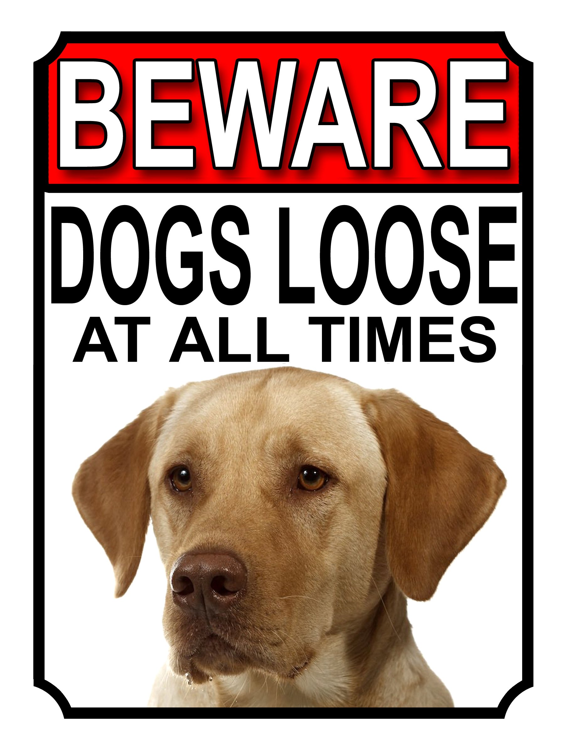 SHAWPRINT BEWARE DOGS LOOSE AT ALL TIMES METAL SIGN YELLOW LABRADOR 200MM X 150MM (1031H1)