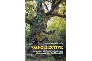 OAKOLLECTIVE: Conversations with Forests, Healing through Relationships, and the Art of Being Wild