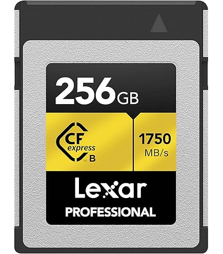 Amazon.com: ProGrade Digital Memory Card - CFexpress 4.0