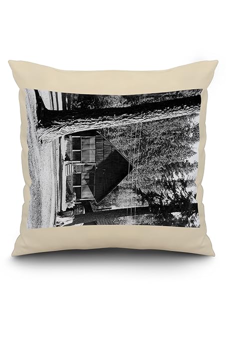 Amazon Com Diamond Lake Oregon Cabin View Photograph 20x20 Spun