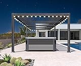 PURPLE LEAF Outdoor Louvered Pergola 11.4' x