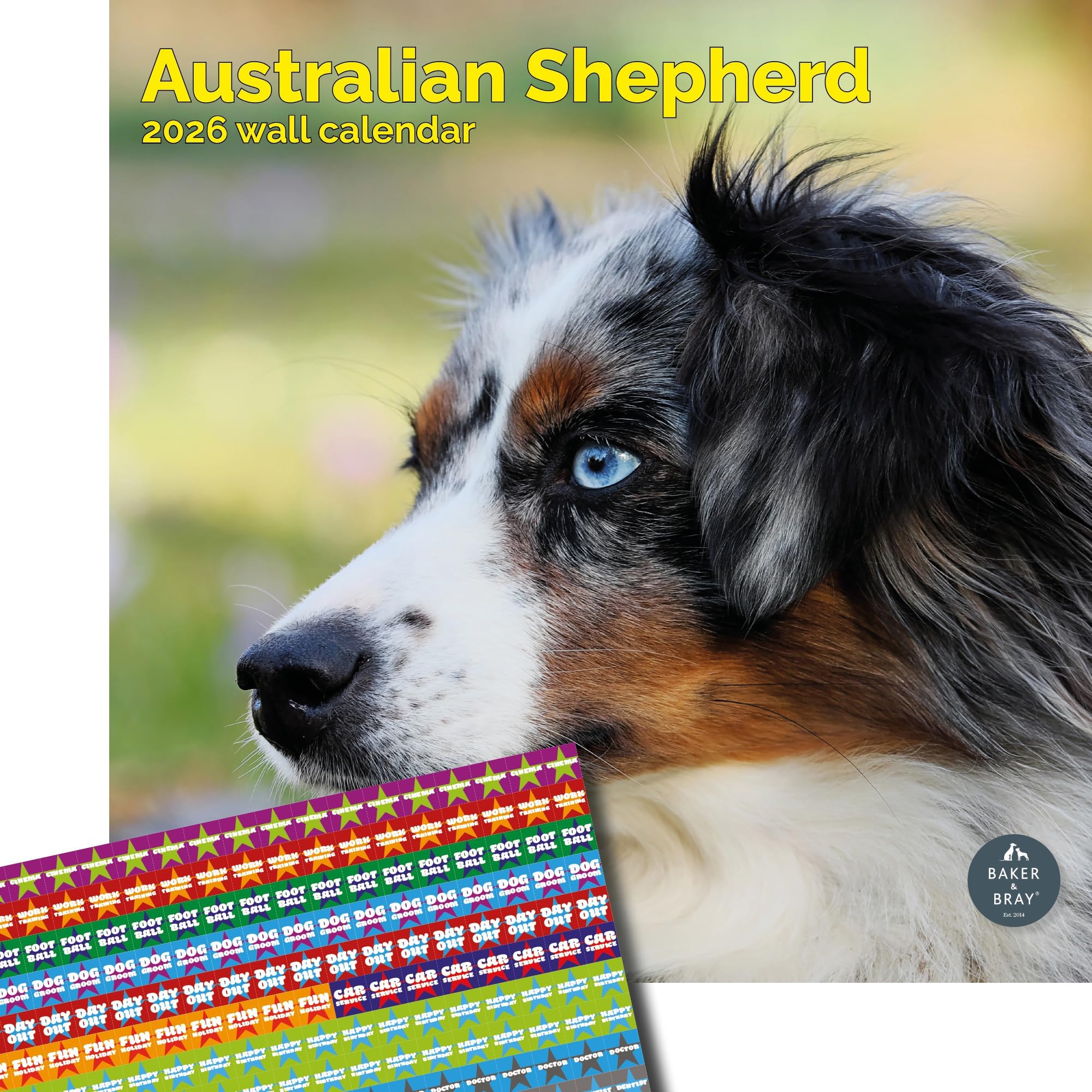 Baker and Bray Australian Shepherd Calendar 2026 With Organisational Stickers, Large Square Wall Calendar, 16 Month, Australian Shepherd Gift Dog Calendar