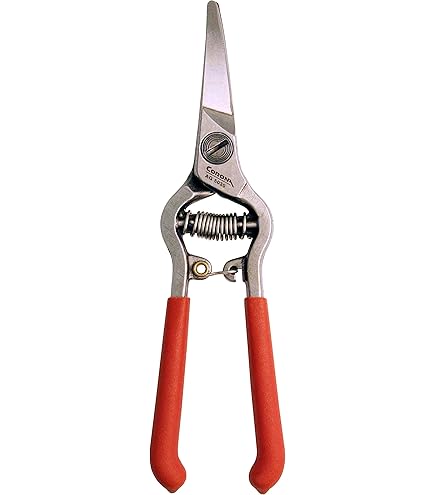 Amazon.com: Corona FS 4310 Bonsai & Orchids Mini Shear with Vinyl