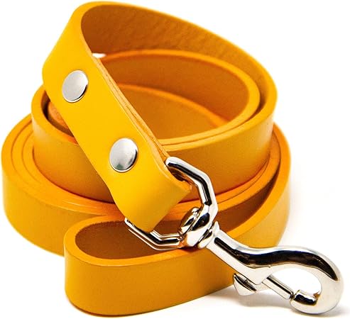logical leather dog leash